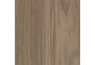 Walnut (Black American)